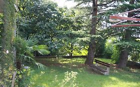 Apartman Branka 3